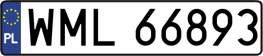 WML66893