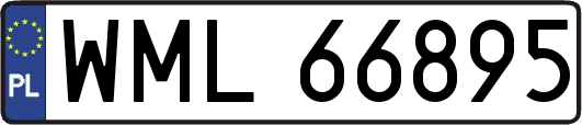 WML66895