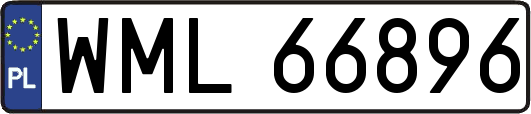 WML66896