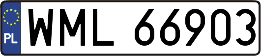 WML66903