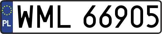 WML66905