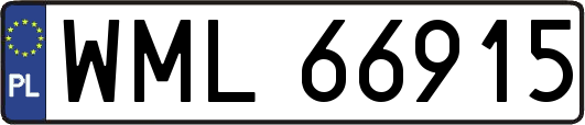 WML66915