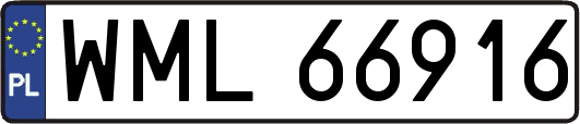 WML66916