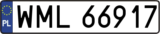 WML66917