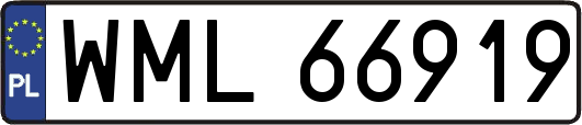 WML66919