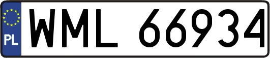WML66934