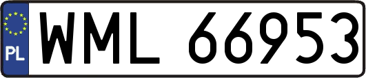 WML66953