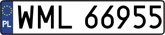 WML66955