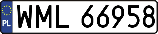 WML66958
