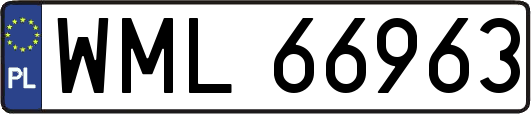 WML66963
