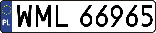 WML66965