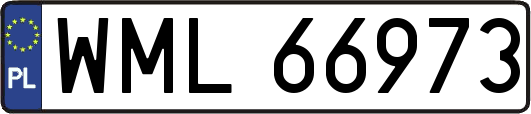 WML66973