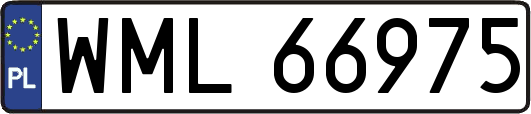 WML66975