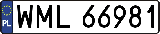 WML66981