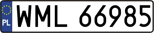 WML66985