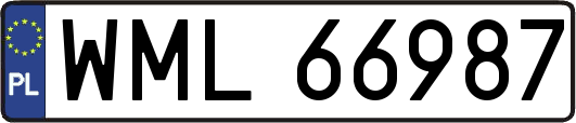 WML66987