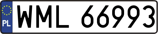 WML66993