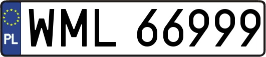 WML66999