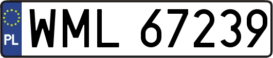 WML67239