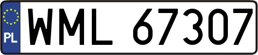WML67307
