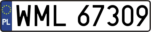 WML67309