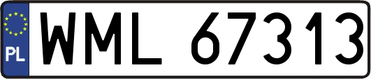 WML67313