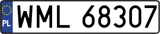 WML68307