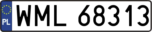 WML68313