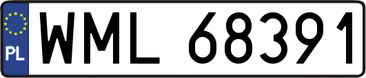 WML68391