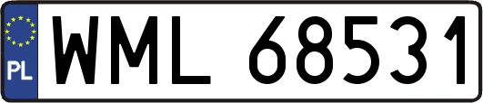 WML68531