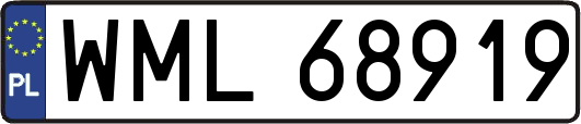 WML68919