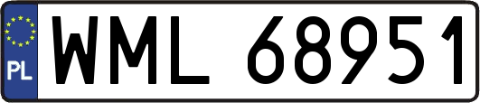 WML68951
