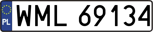 WML69134