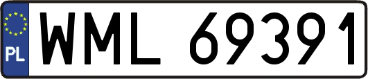 WML69391