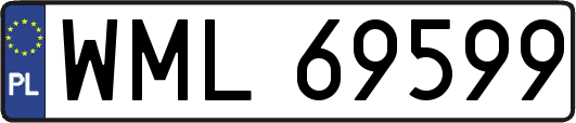 WML69599