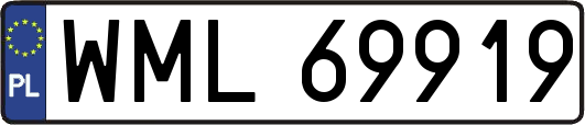 WML69919