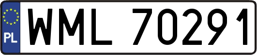 WML70291