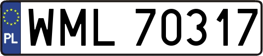 WML70317