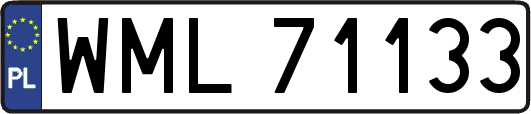 WML71133