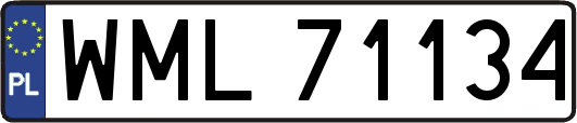 WML71134