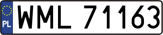 WML71163
