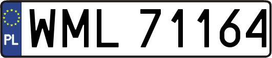 WML71164
