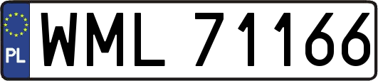 WML71166