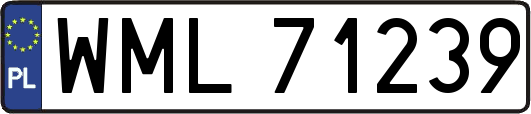 WML71239