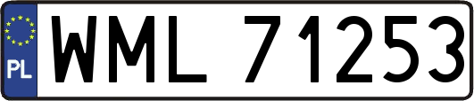 WML71253