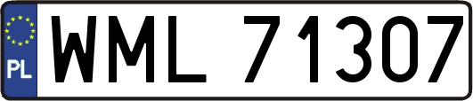 WML71307