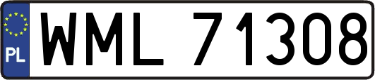 WML71308