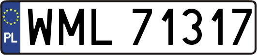 WML71317