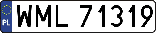 WML71319