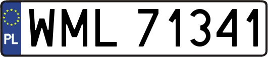 WML71341